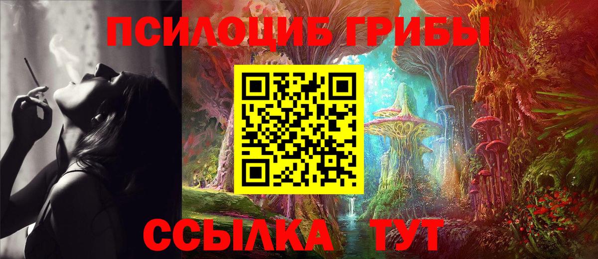 Галлюциногенные грибы Psilocybe  Псилоцибиновые грибы Cubensis  Вход с VPN  Саранск 